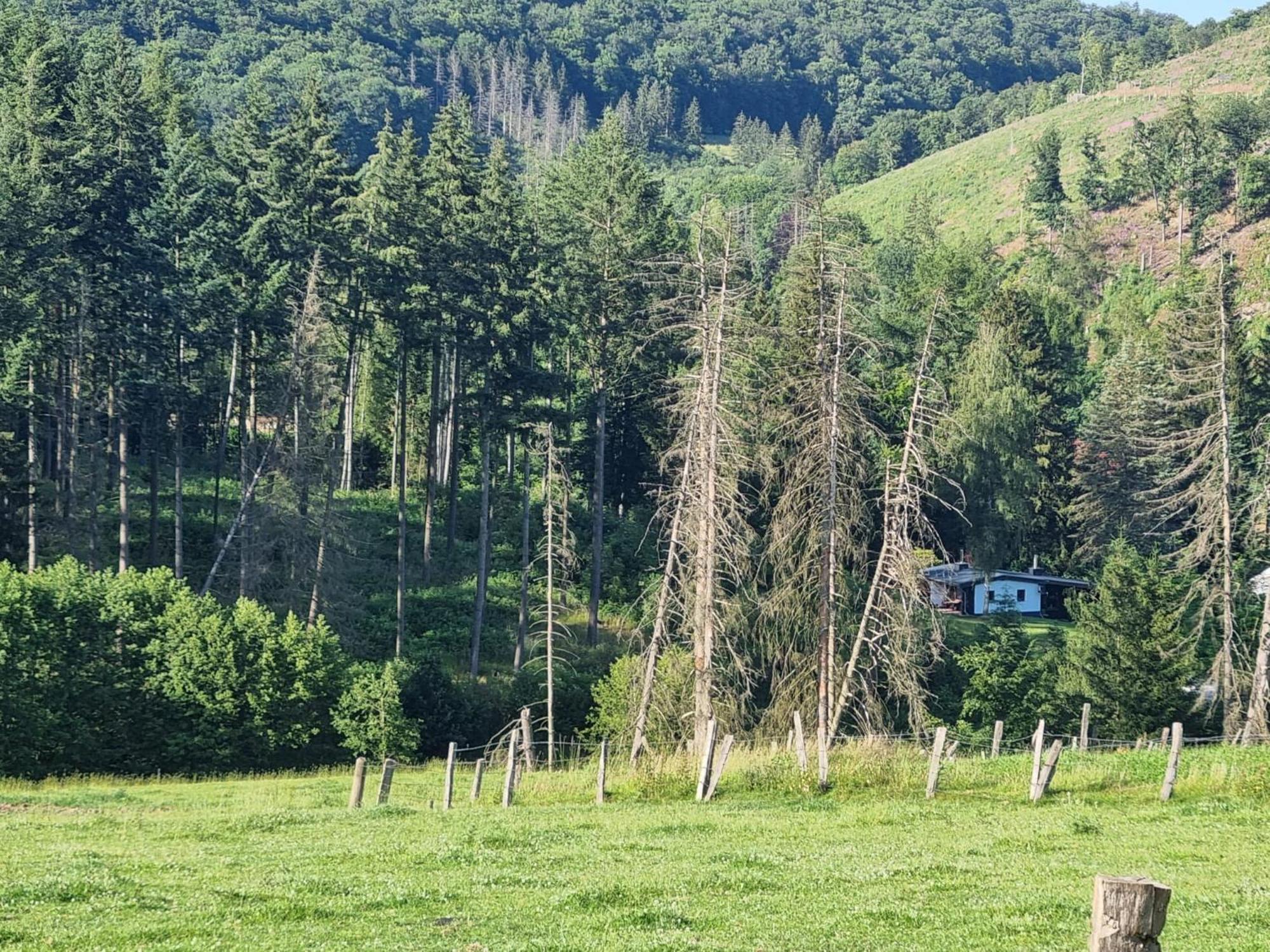 Helminghausen Explorer'S Lodge & Camping מראה חיצוני תמונה